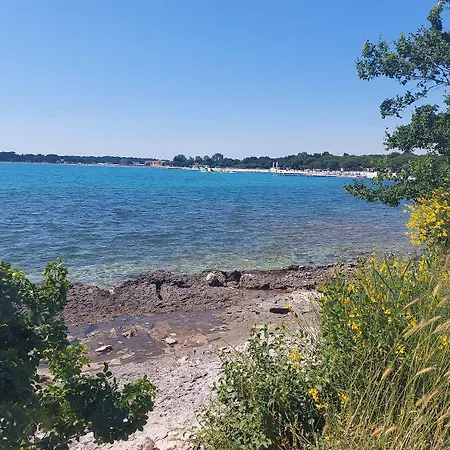 דירה Bartholomaeus