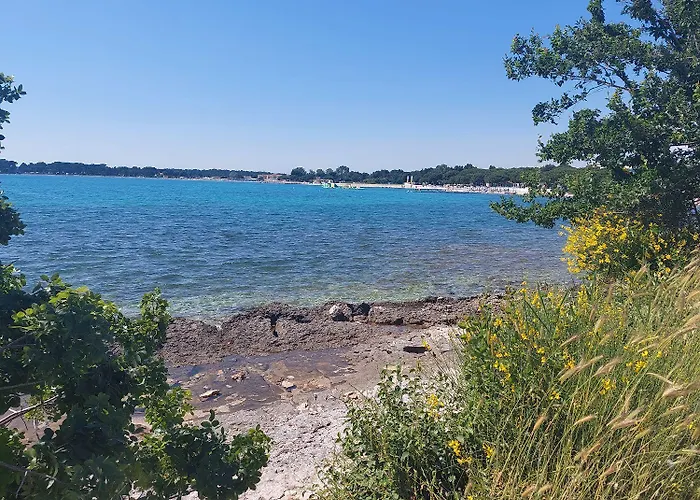 דירה Bartholomaeus